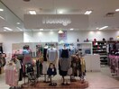 ハニーズ熊谷店(ショッピングセンター/アウトレットモール)まで775m シャトレ宮町（熊谷市宮町）
