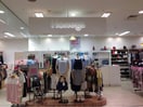 ハニーズ熊谷店(ショッピングセンター/アウトレットモール)まで775m シャトレ宮町（熊谷市宮町）