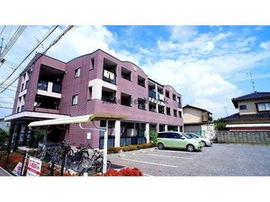 楓（熊谷市新堀）