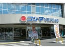 コジマ×ビックカメラ熊谷店(電気量販店/ホームセンター)まで1516m アネシス（熊谷市石原）