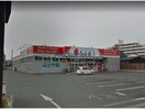 ドラッグストアセキ熊谷銀座店(ドラッグストア)まで984m メゾンベール末広（熊谷市末広）700005811-1