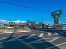 カインズ熊谷籠原店(電気量販店/ホームセンター)まで1807m Balpare Est  バルパレーエスト（深谷市東方）
