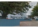 深谷市立上柴中学校(中学校/中等教育学校)まで873m Ｓｅｉ（深谷市上柴西）700003064-1