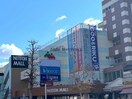 ノジマ熊谷ニットーモール店(電気量販店/ホームセンター)まで5114m カレッジハウス　タチバナ