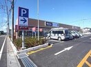 ワッツ行田門井店(ディスカウントショップ)まで766m グランモンテ　22542