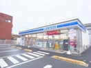 ローソン行田佐間二丁目店(コンビニ)まで546m シャネルI&S（行田市佐間）