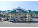 ドラッグセイムス熊谷中西店(ドラッグストア)まで862m サンライズ上之（熊谷市上之）