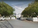 熊谷市立籠原小学校(小学校)まで468m ルピナスC（深谷市東方）