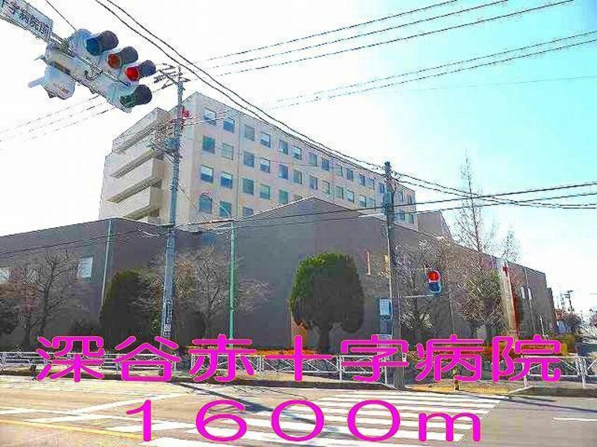  メゾンイーストセブン（深谷市上柴町東）1-020813001