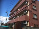 ペティート（深谷市上柴町西）の外観