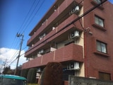 ペティート（深谷市上柴町西）