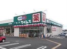 ドラッグセイムス熊谷妻沼店(ドラッグストア)まで802m 鳳凰21