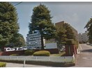 私立東京成徳大学深谷高校(高等学校/高等専門学校)まで1266m フォリアⅡ（深谷市上野台）1-019534101