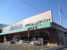 アバンセ川里店(スーパー)まで734m WAM（鴻巣市広田）