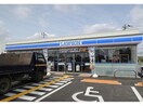 ローソン鴻巣広田南店(コンビニ)まで551m フィオレ（鴻巣市広田）