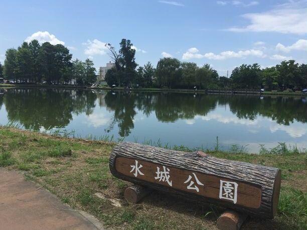 水城公園(公園)まで2460m カーサ　ベントゥーラ