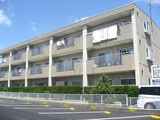 マリッチ赤城