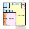 ピュアハイツⅡ 1LDKの間取り