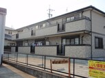 シャトレ純Ⅱ