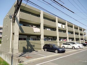 アニマート