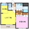 シャンティ 1LDKの間取り