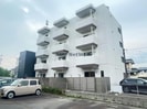 ペリートの外観