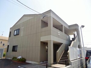 メイプルリーフ