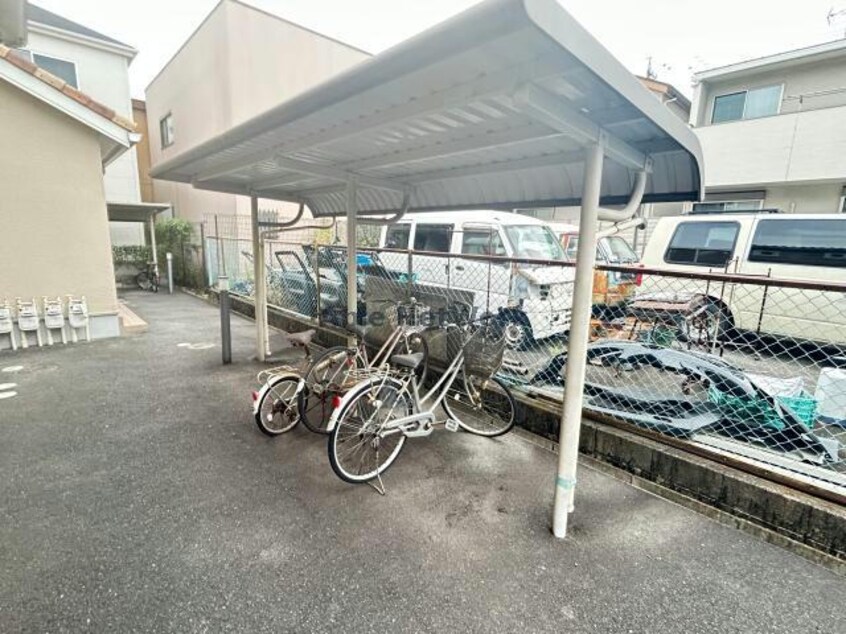  コモンドール