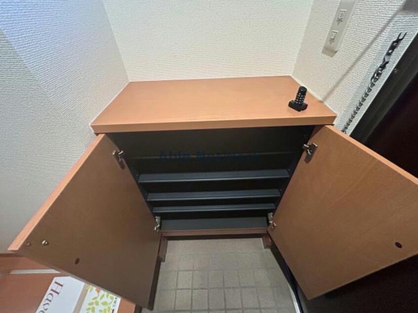  コモンドール