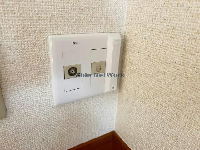  コモンドール