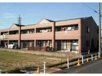 ダンディライオン