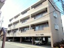  サニー加島