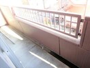  サニー加島