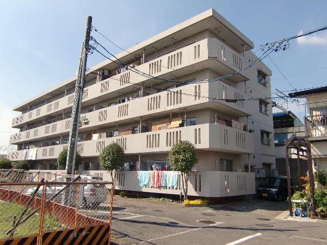  ミューズビンテージ