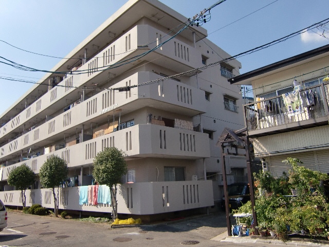  ミューズビンテージ