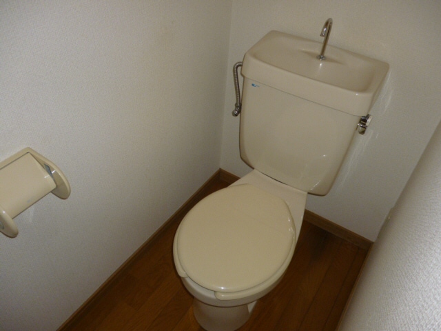  ＤＵＰＬＥＸ国王５