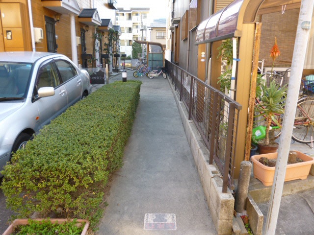  ＤＵＰＬＥＸ国王５