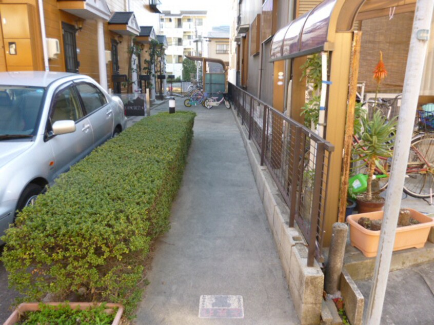  ＤＵＰＬＥＸ国王５