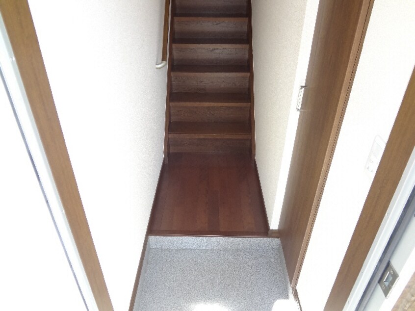  ｱﾝﾌﾟﾙｰﾙ ﾘｰﾌﾞﾙ THREE RINGS FIELD