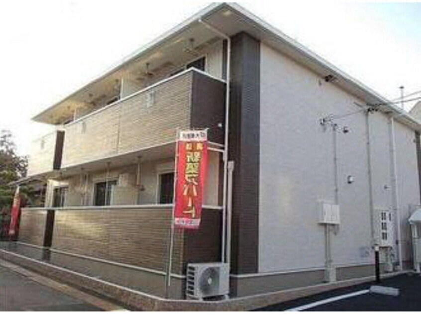  ミモザ　フィオーレ