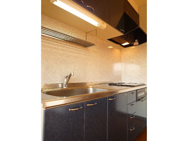  ライヒフロイデ