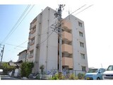 クオーレ稲島