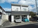サンシャイン市場木の外観