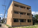 ラズベリーの外観