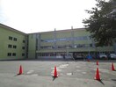 帯広市立若葉小学校(小学校)まで685m リバティカツヒラⅡ