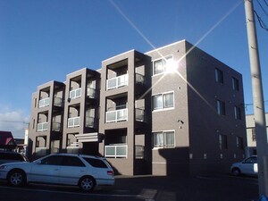 ｱﾋﾞﾀﾔﾏｺ