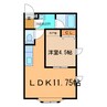 メゾンジュネス 1LDKの間取り