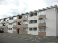 ﾒｲﾌﾟﾙｺｰﾄ