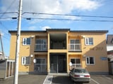 SK203