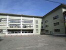 帯広市立帯広第八中学校(中学校/中等教育学校)まで472m ルミエール